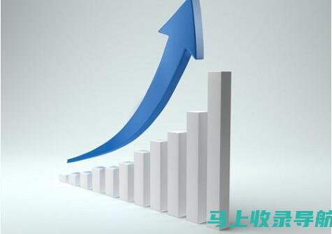 进阶教程：深度解析站长统计后台功能及查看技巧